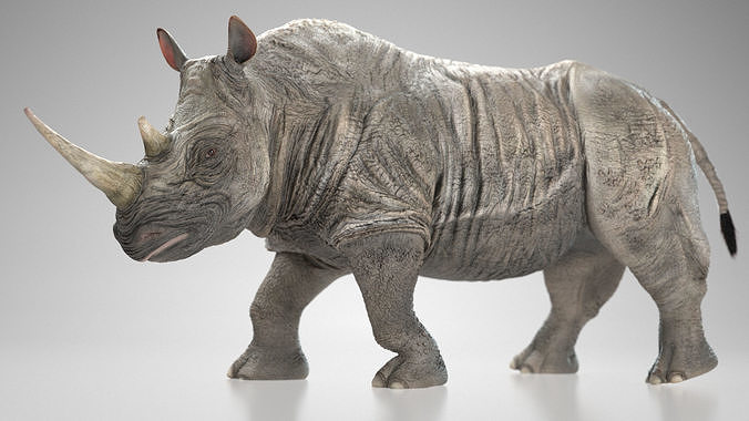 Rhinoceros Low-poly 3D model