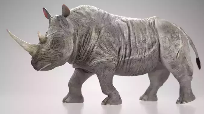 Rhinoceros Low-poly 3D model
