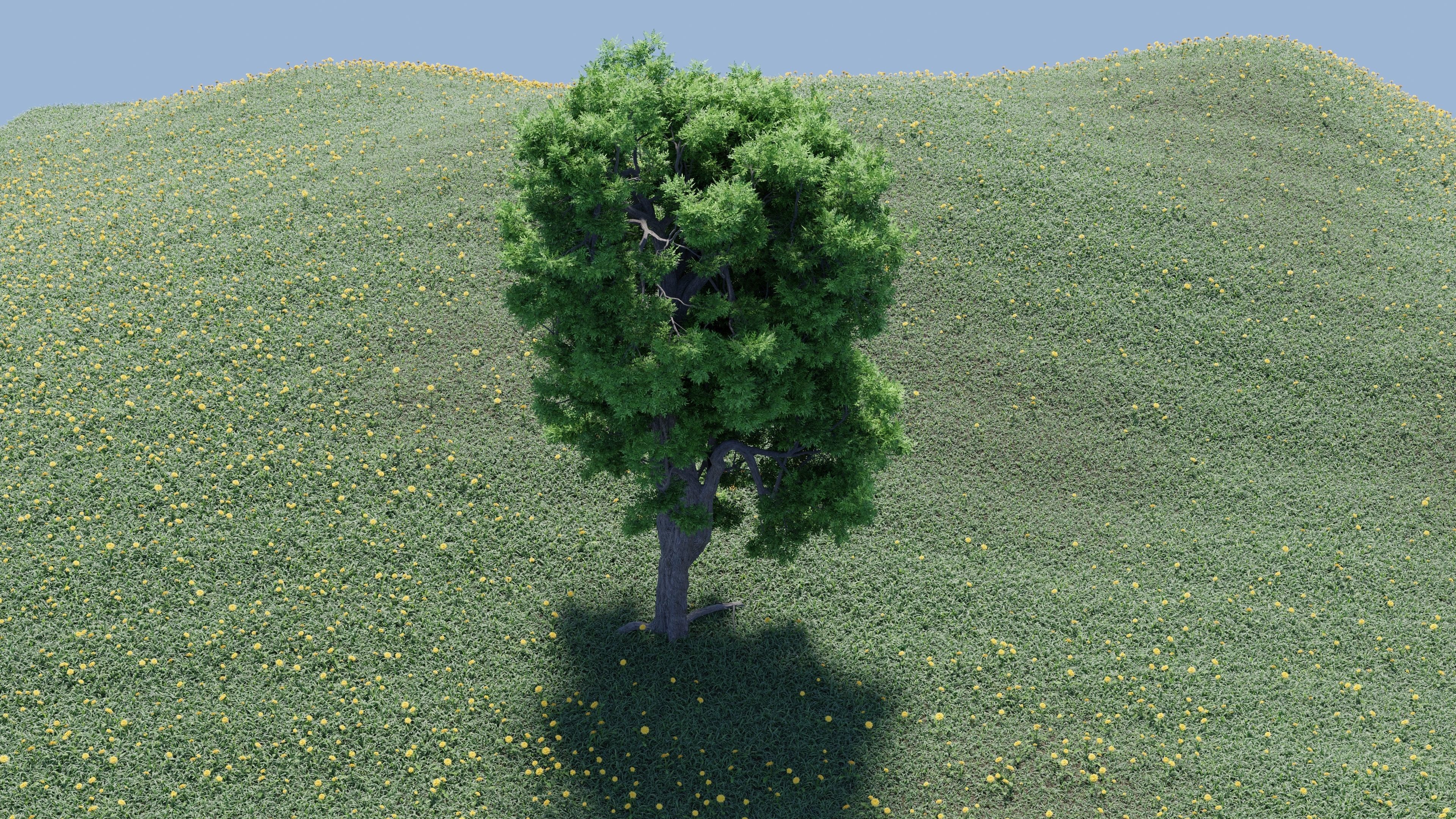 Ash-leaved tree ver 0-2 3D model_7
