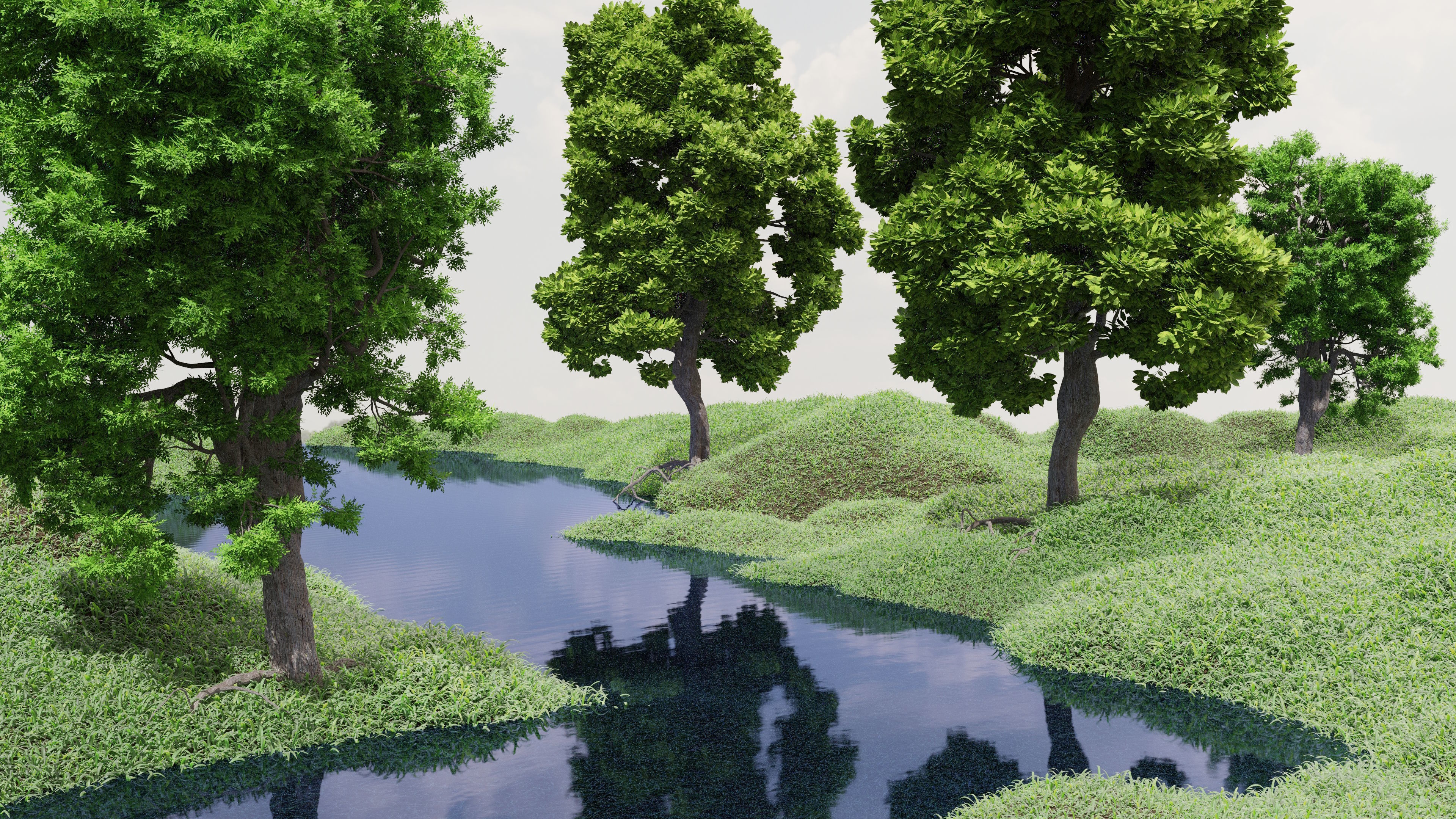 Ash-leaved tree ver 0-2 3D model_8