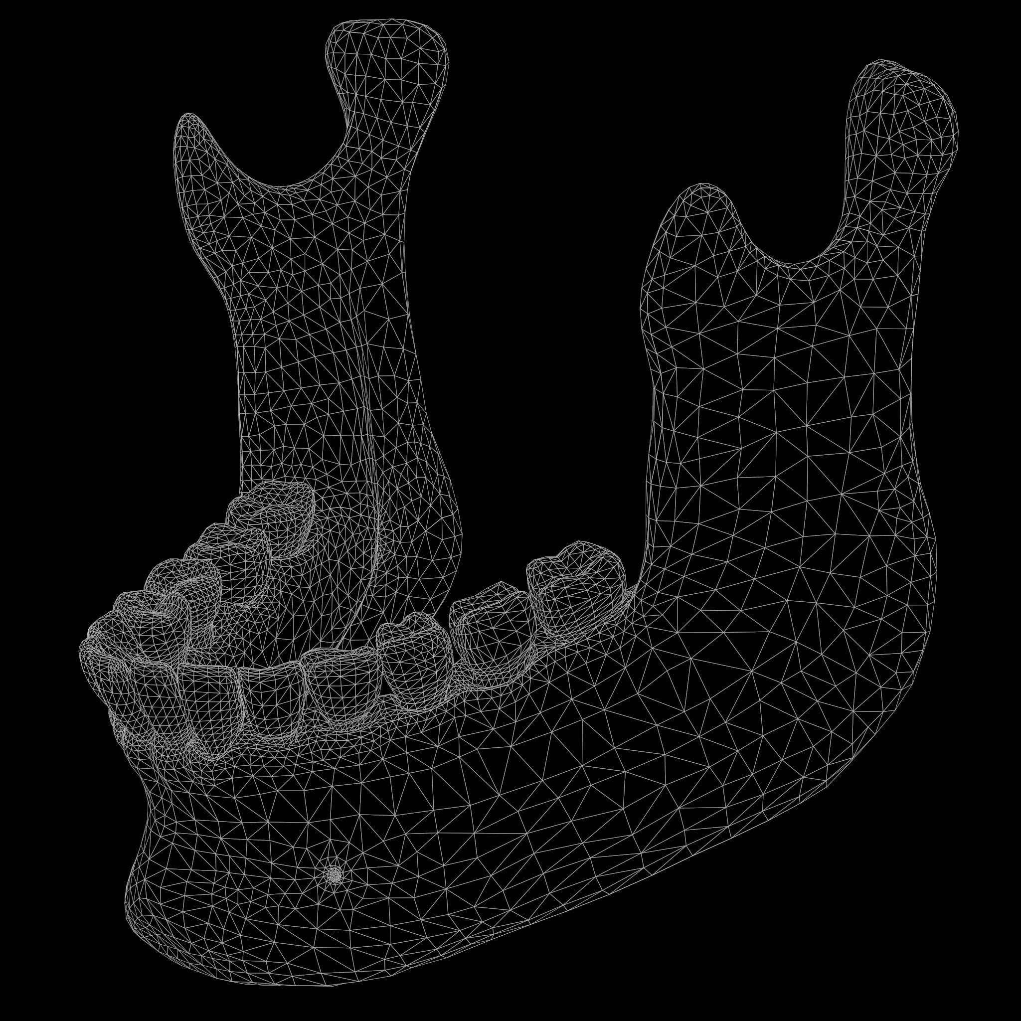Human Jaw Anatomy Low-poly 3D model_7