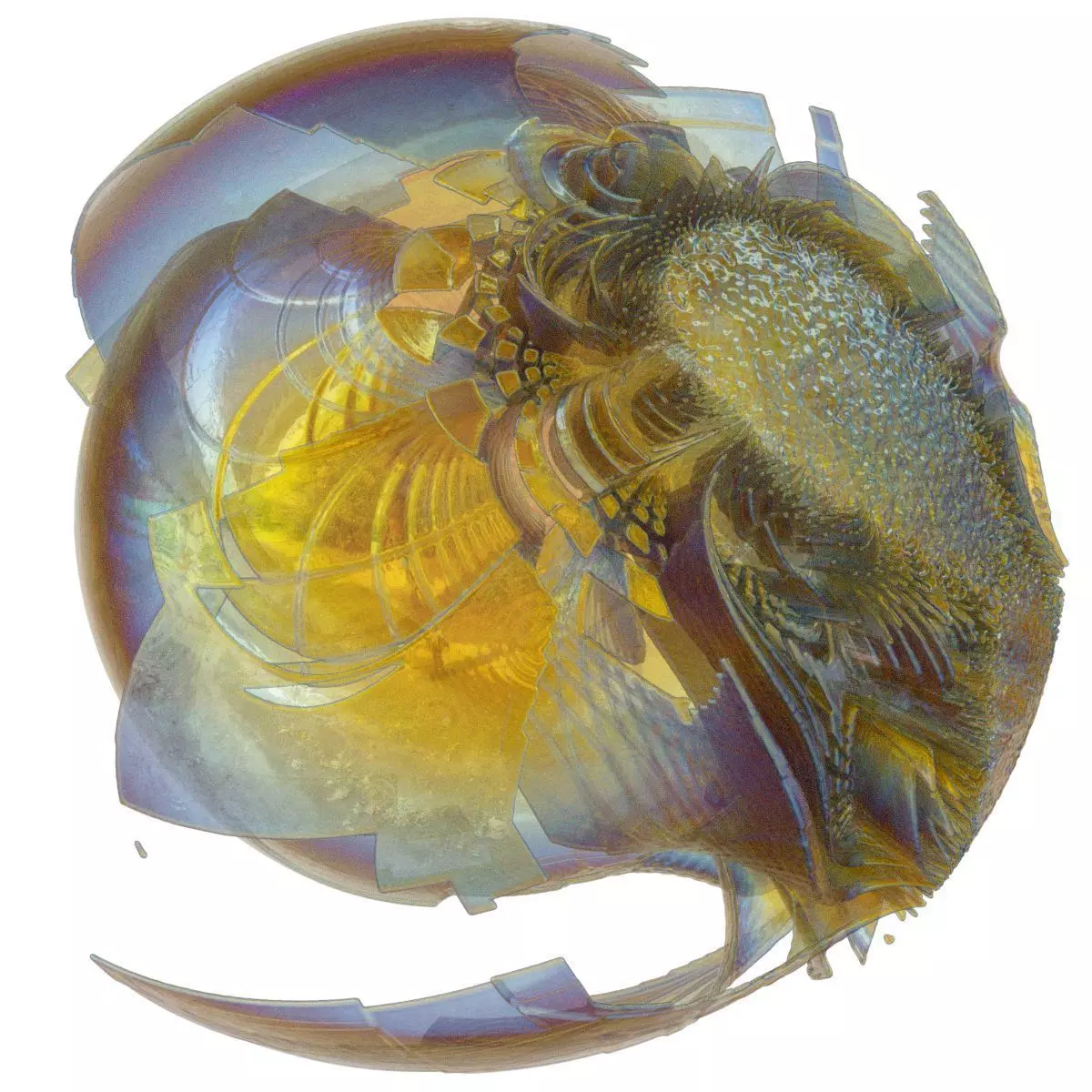 The Fly glass fish with pattern Low-poly 3D model