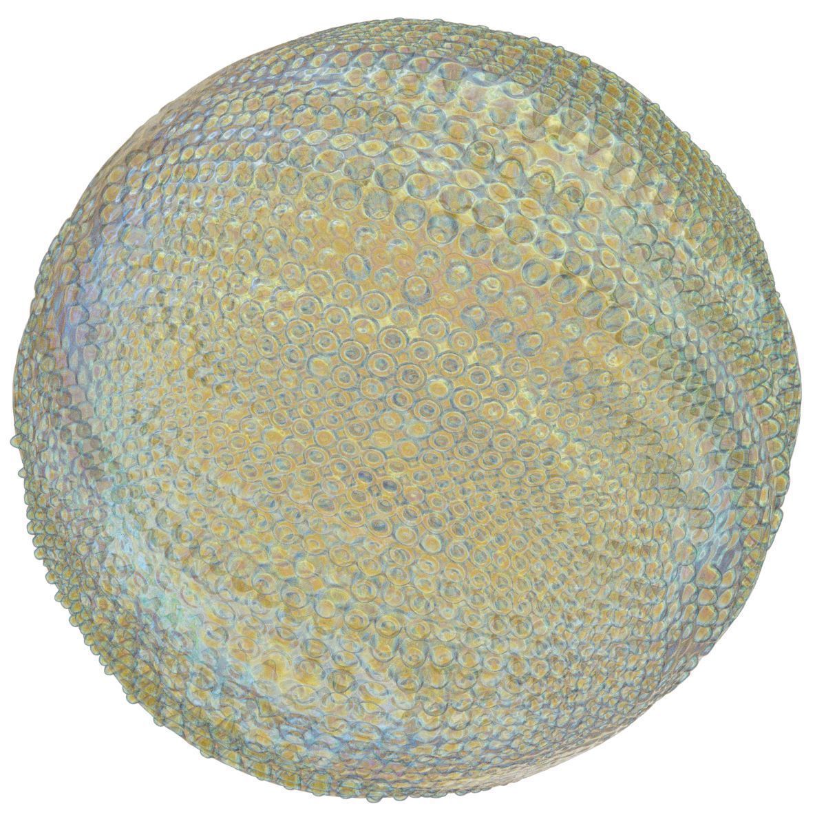 Gentle Waves 3D model_6