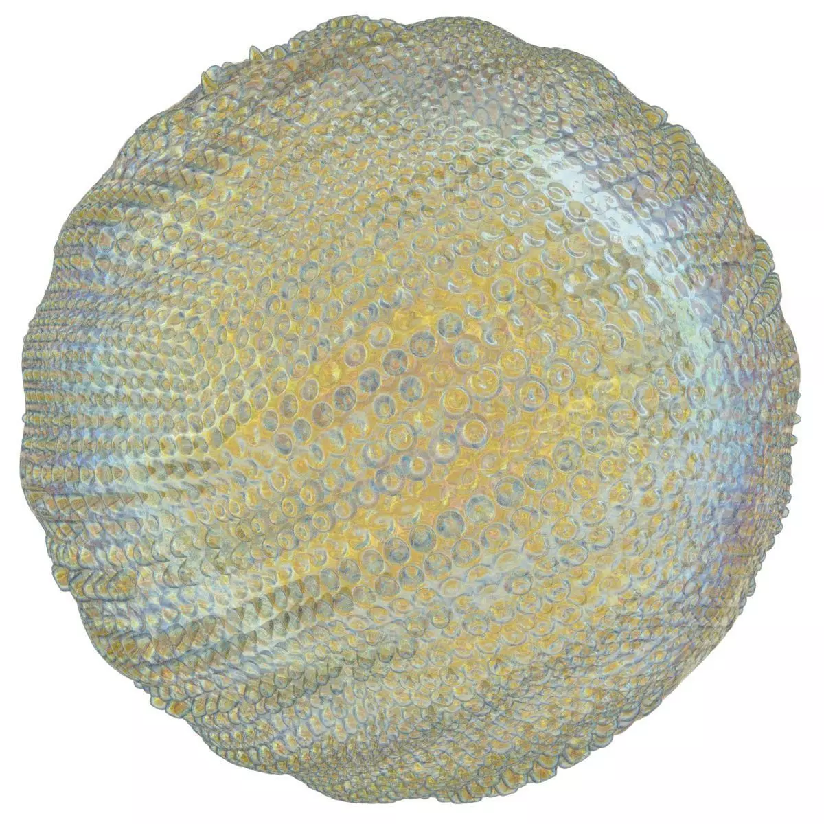 Gentle Waves 3D model_0