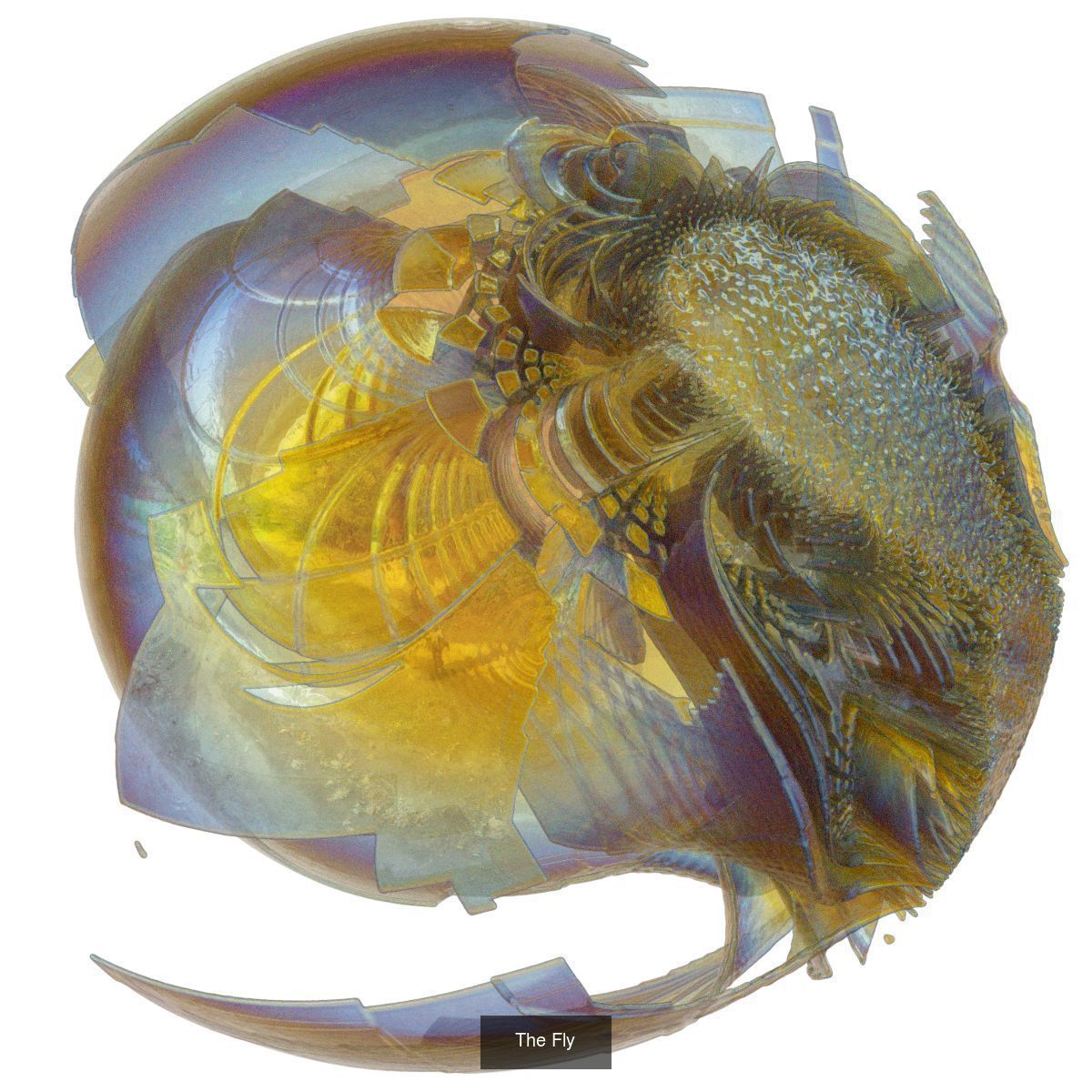 Have you got the balls - 24 Orbs 3D Model Collection_6