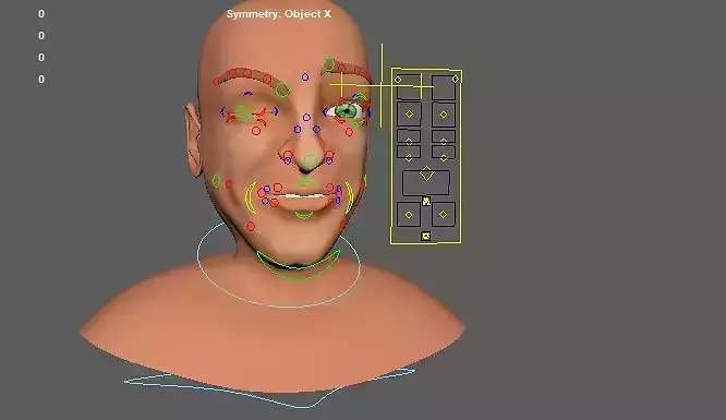 Man face rig