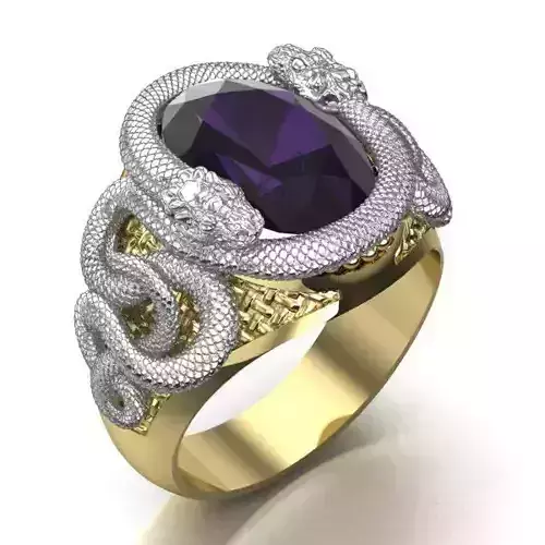 mens  ring with a snakes
