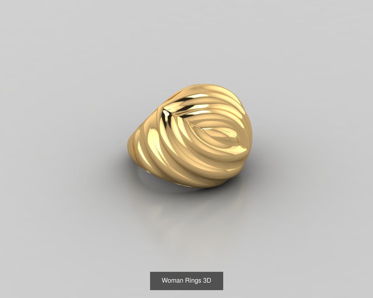 Woman Rings 59 Model 3D Print Model  3D Model Collection_44
