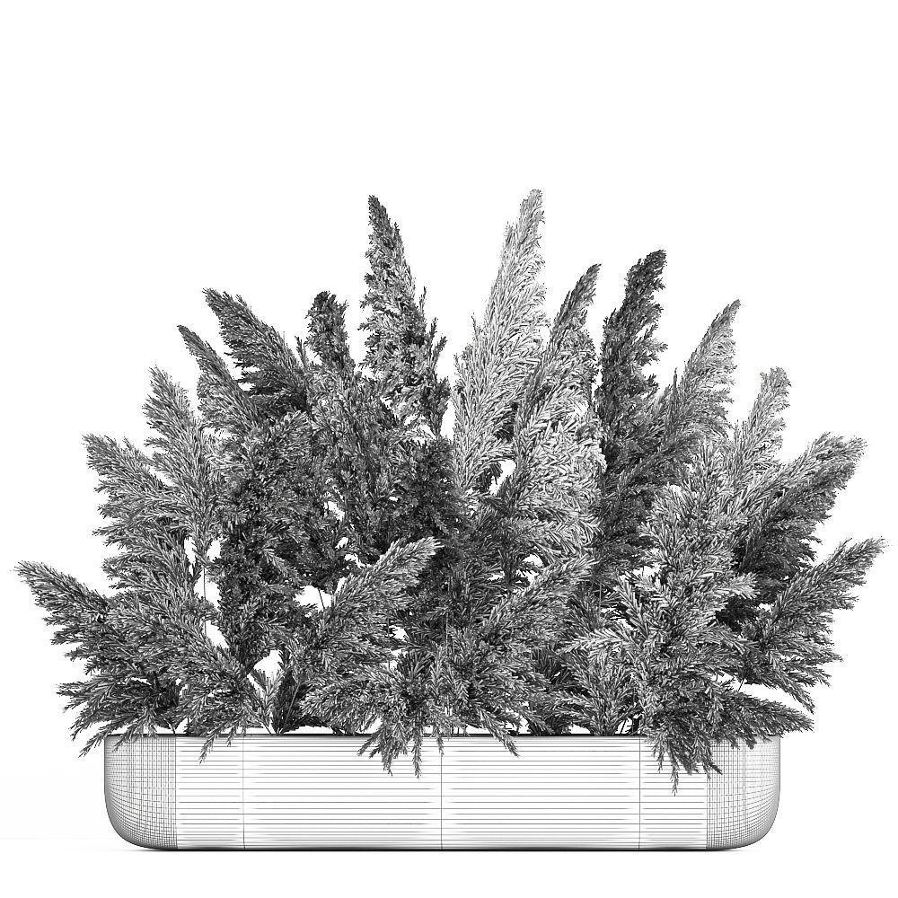 Bouquet of dried reeds in a vase cortaderia pampas grass 186 3D model_6