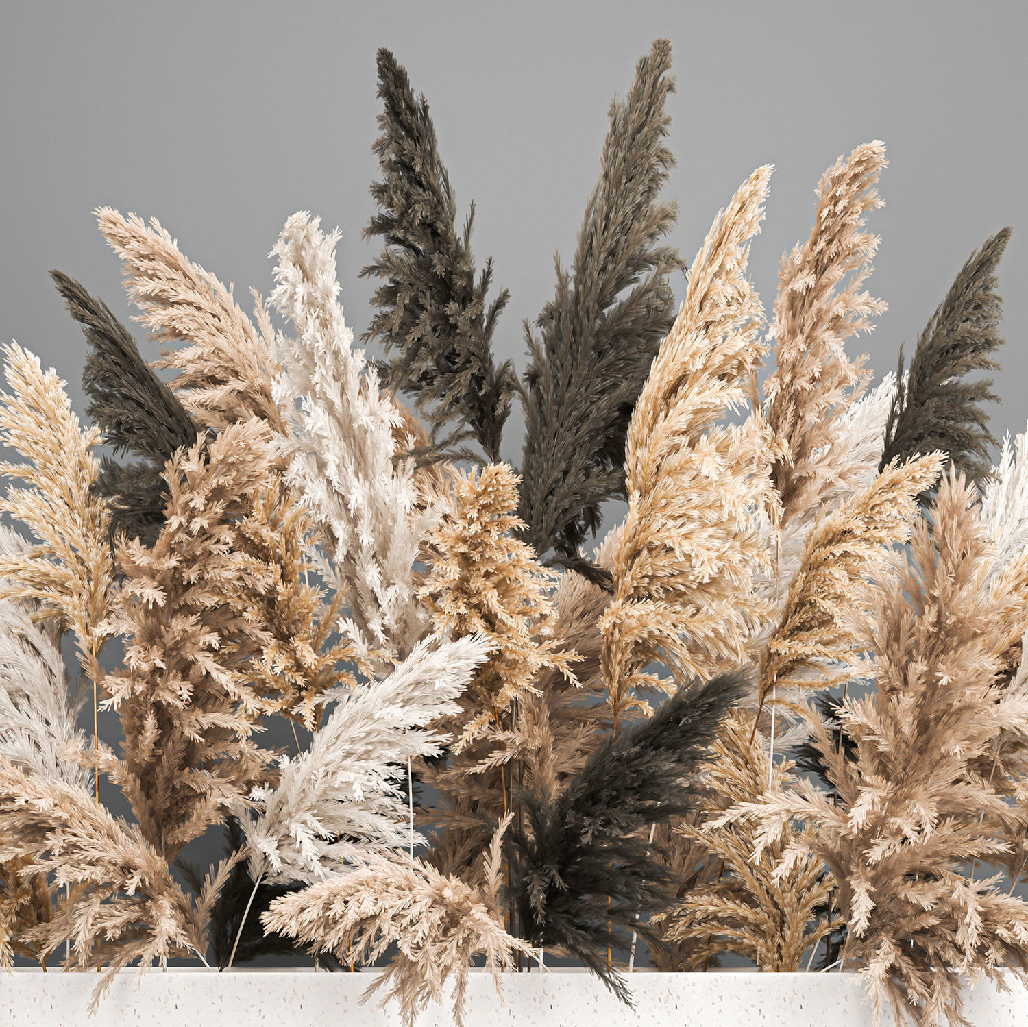 Bouquet of dried reeds in a vase cortaderia pampas grass 186 3D model_3