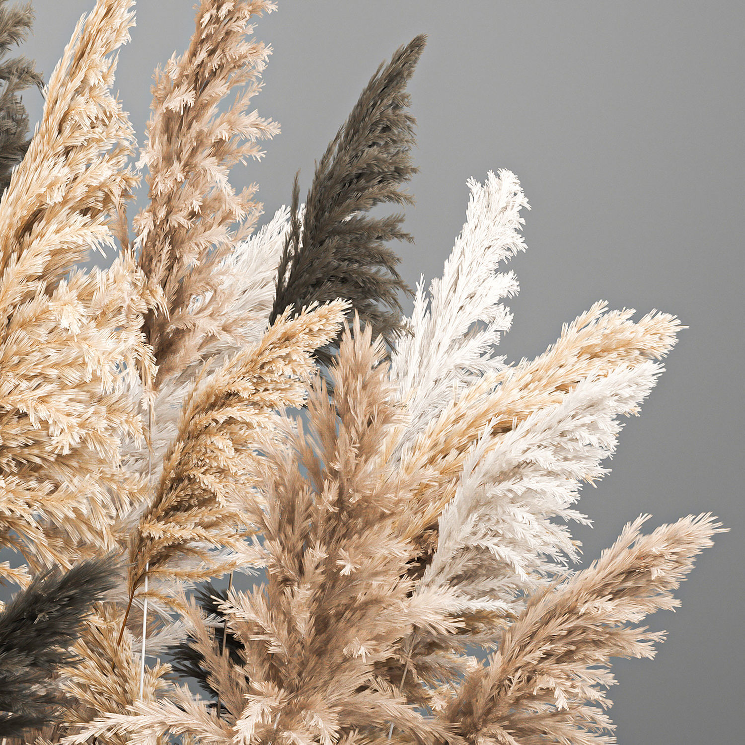 Bouquet of dried reeds in a vase cortaderia pampas grass 186 3D model_4