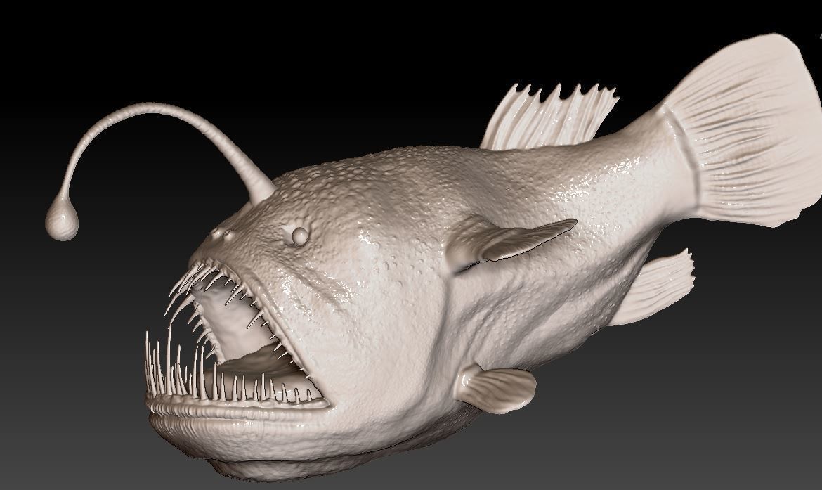 Angler fish 3D print model_5