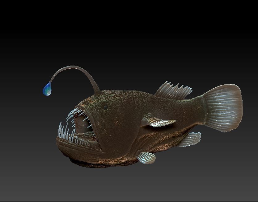 Angler fish 3D print model_1