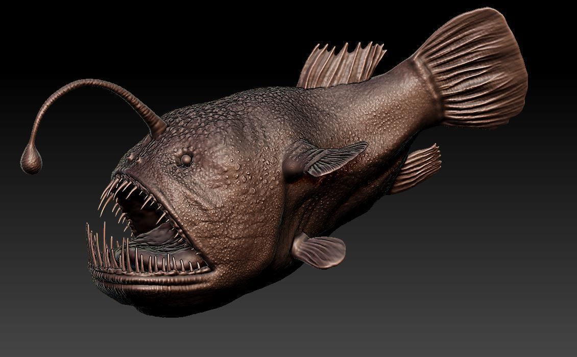 Angler fish 3D print model_3