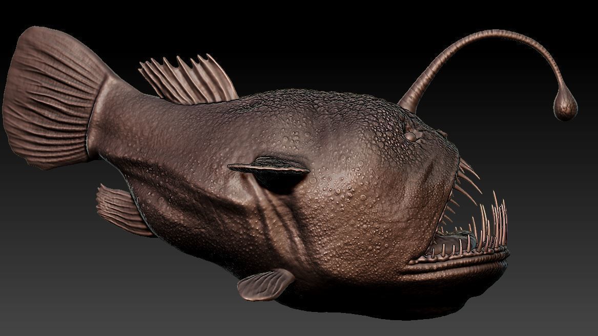 Angler fish 3D print model_4