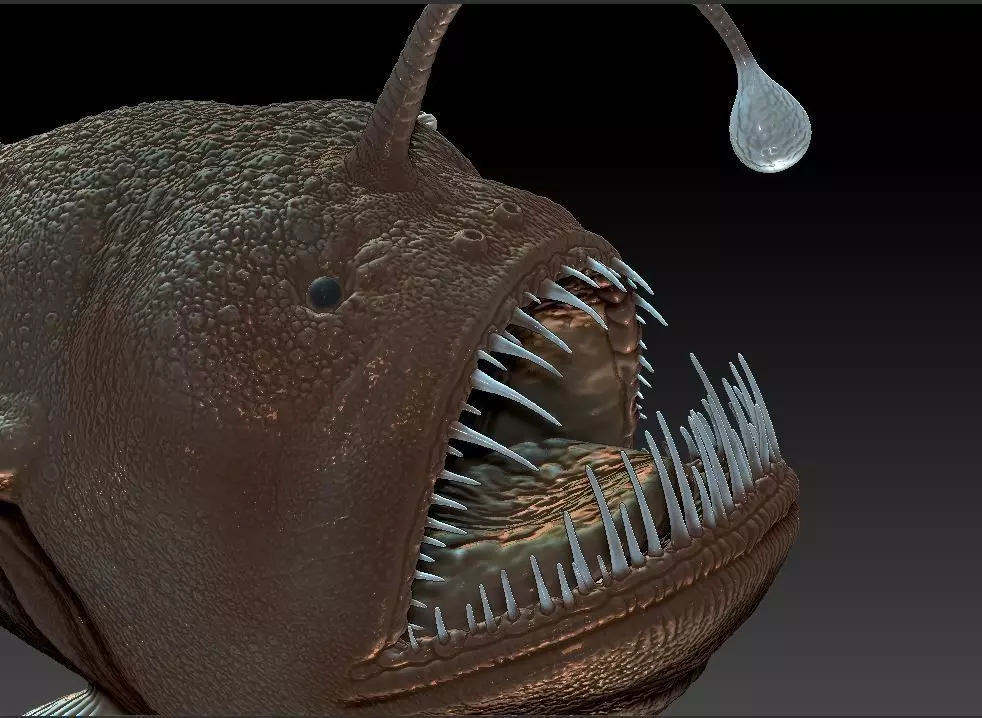 Angler fish 3D print model_0