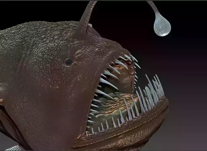 Angler fish 3D print model
