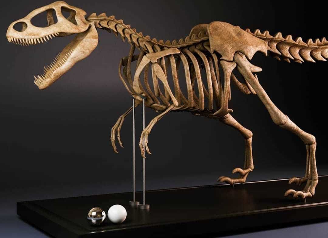 Dinosaur   skeleton  muscles 3D model_3