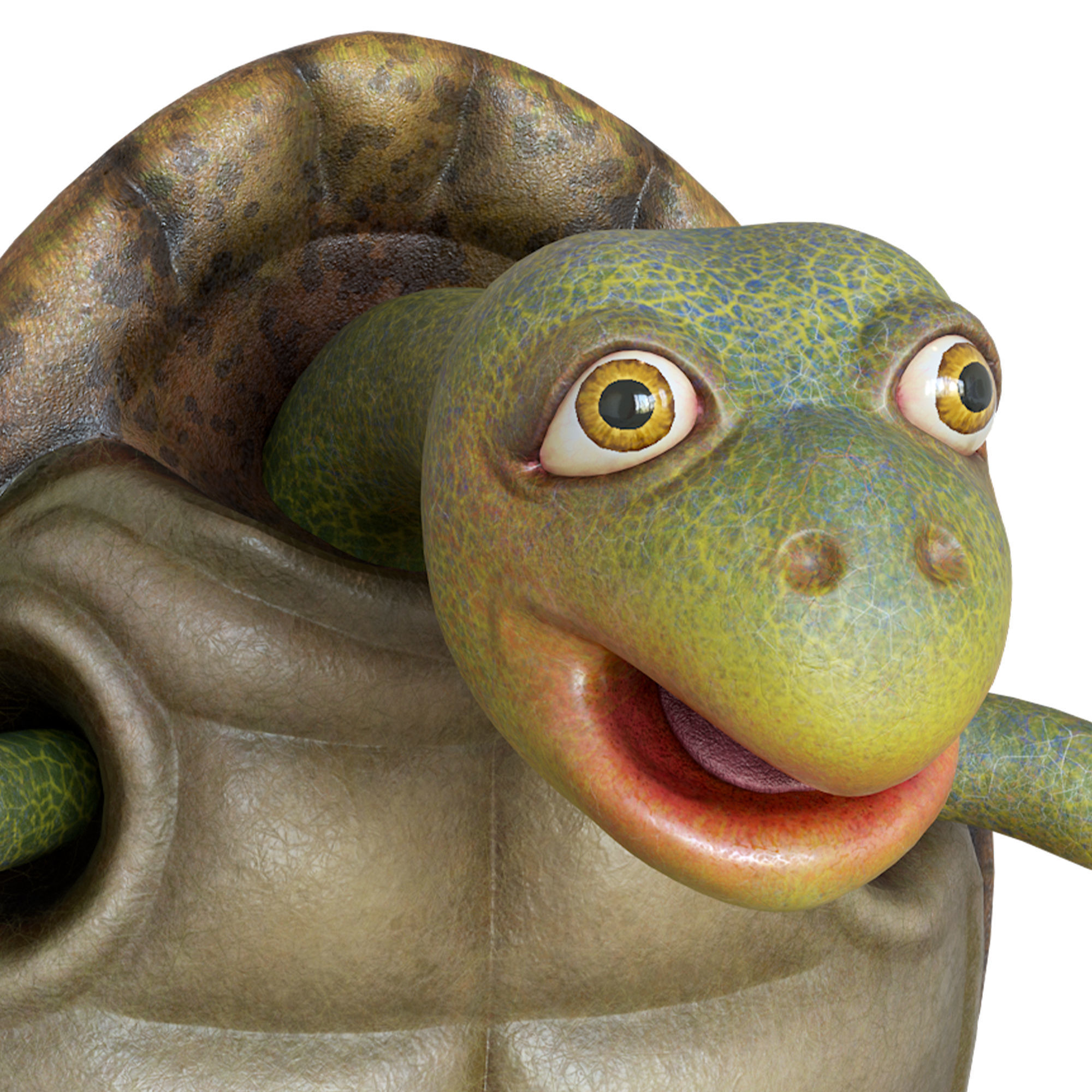 Cartoon Turtle Low-poly 3D model_1