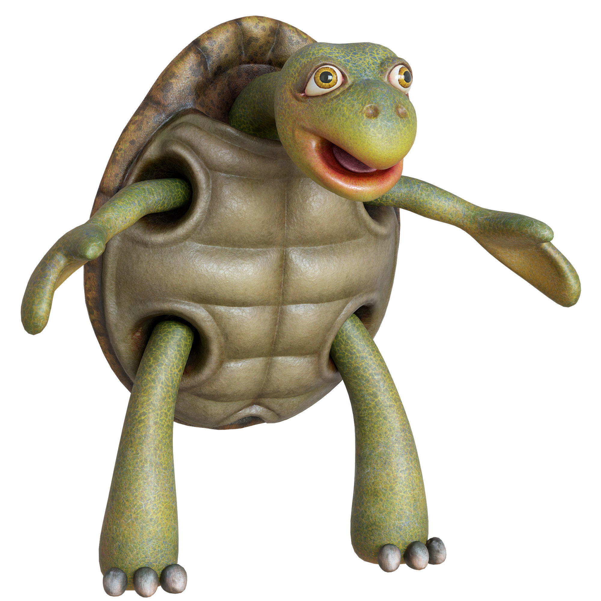 Cartoon Turtle Low-poly 3D model_12