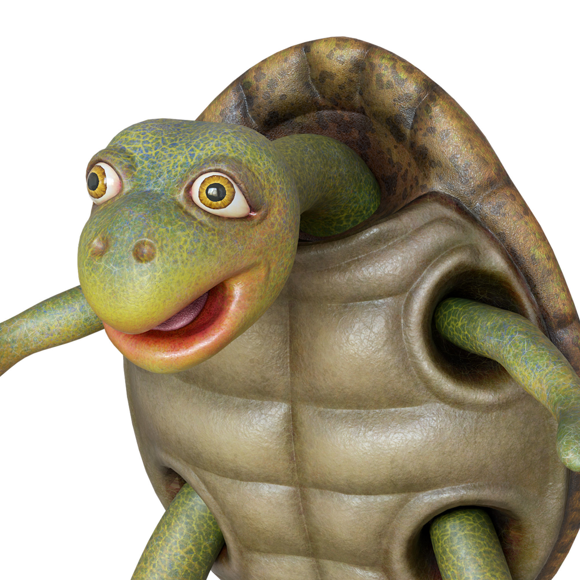 Cartoon Turtle Low-poly 3D model_15