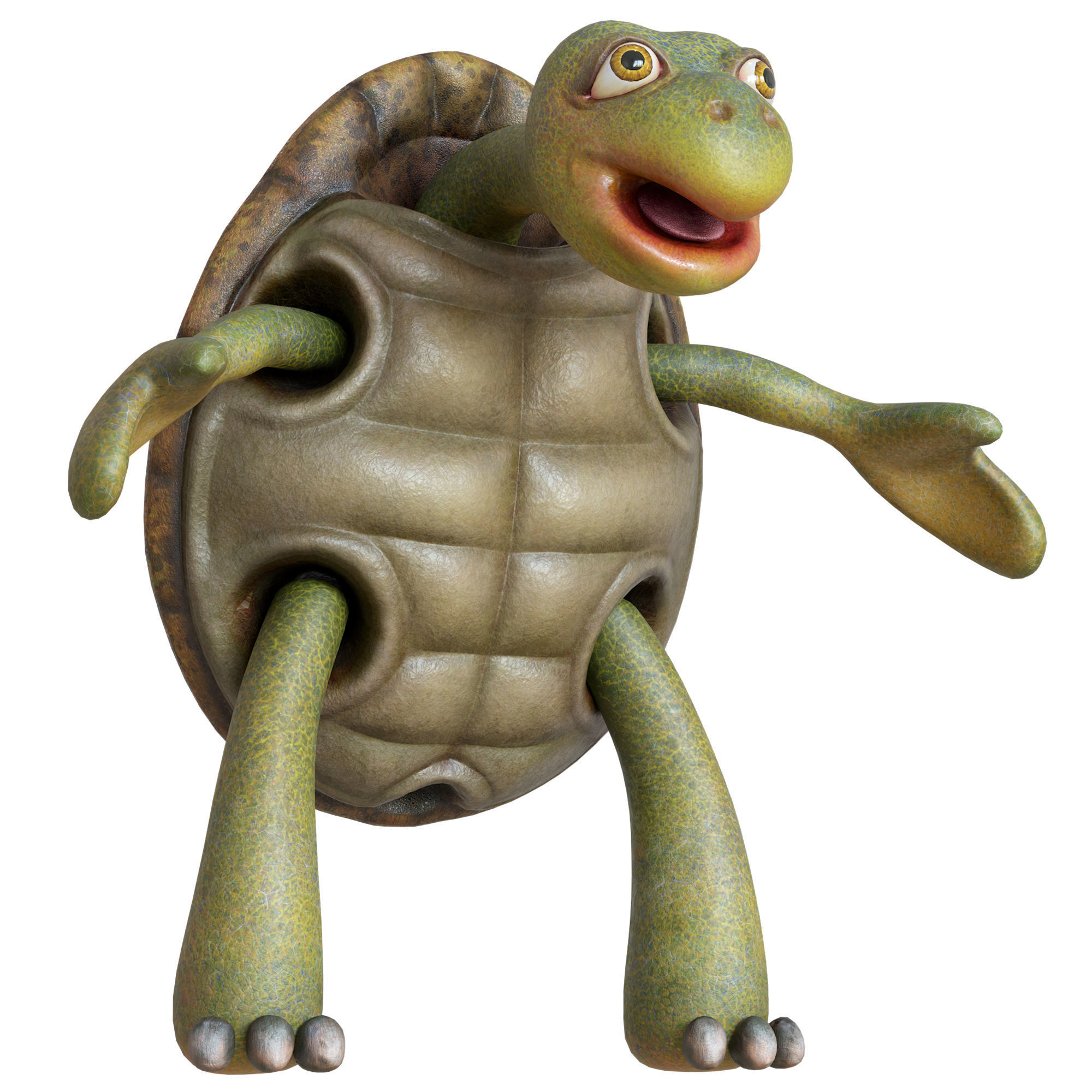 Cartoon Turtle Low-poly 3D model_11