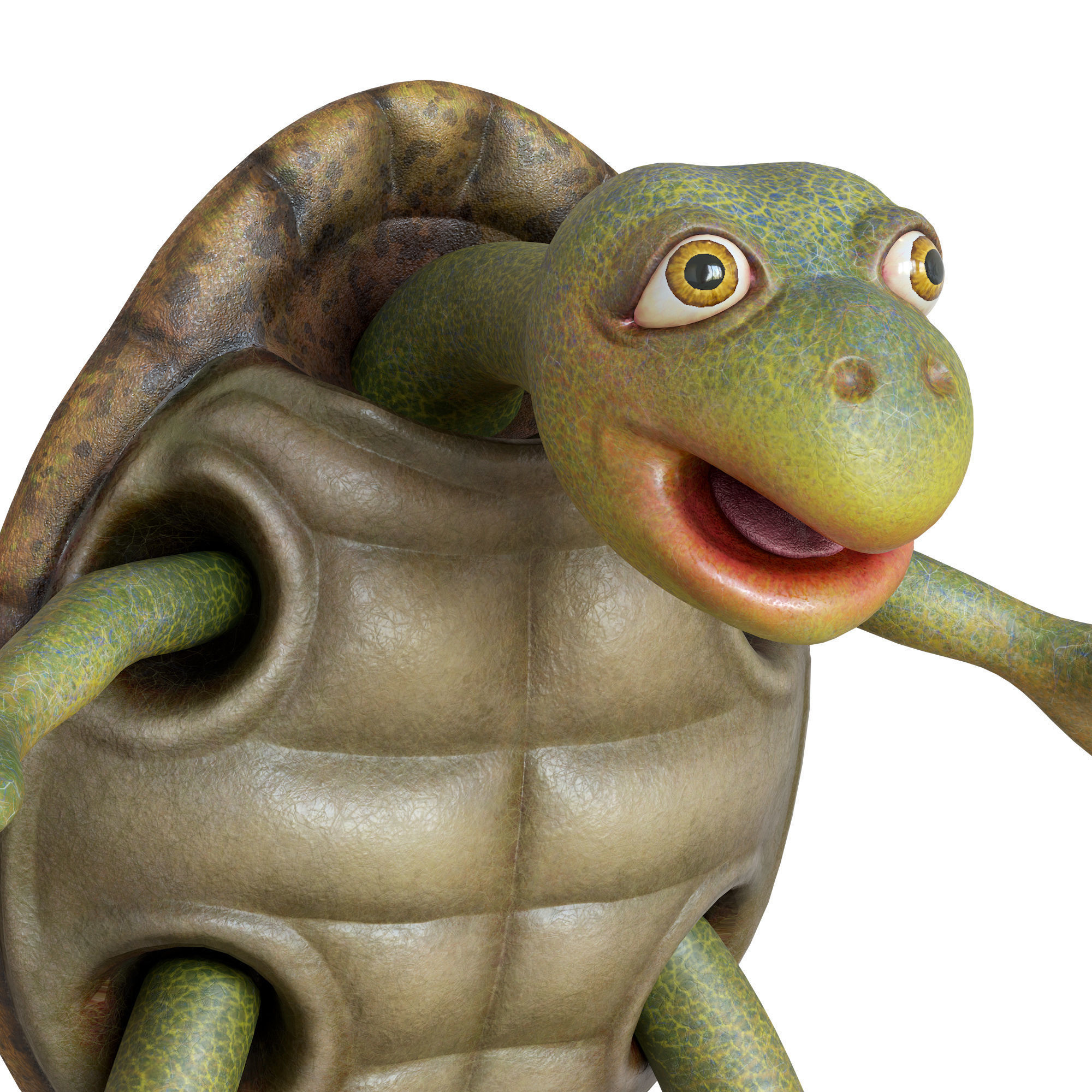 Cartoon Turtle Low-poly 3D model_13