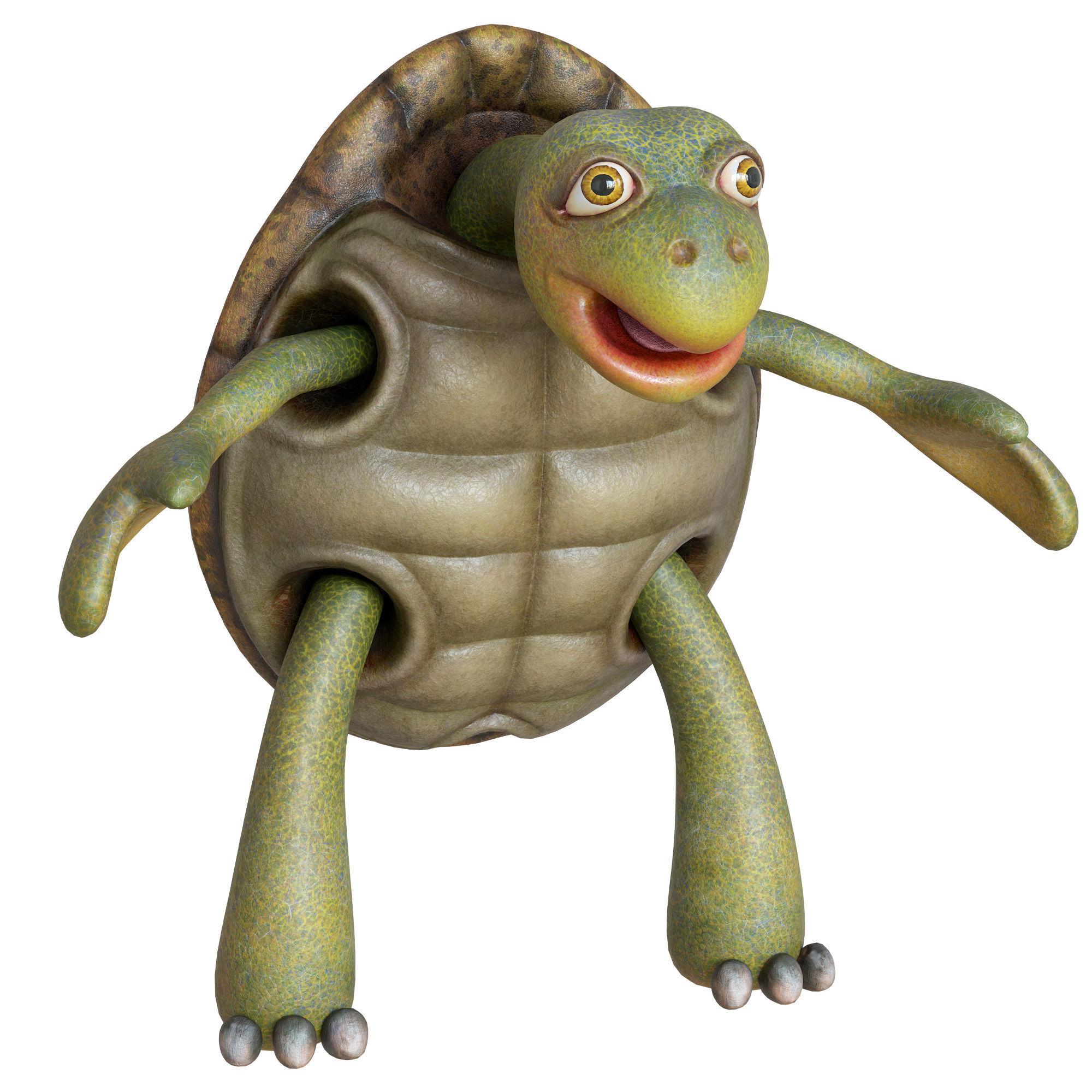 Cartoon Turtle Low-poly 3D model_10