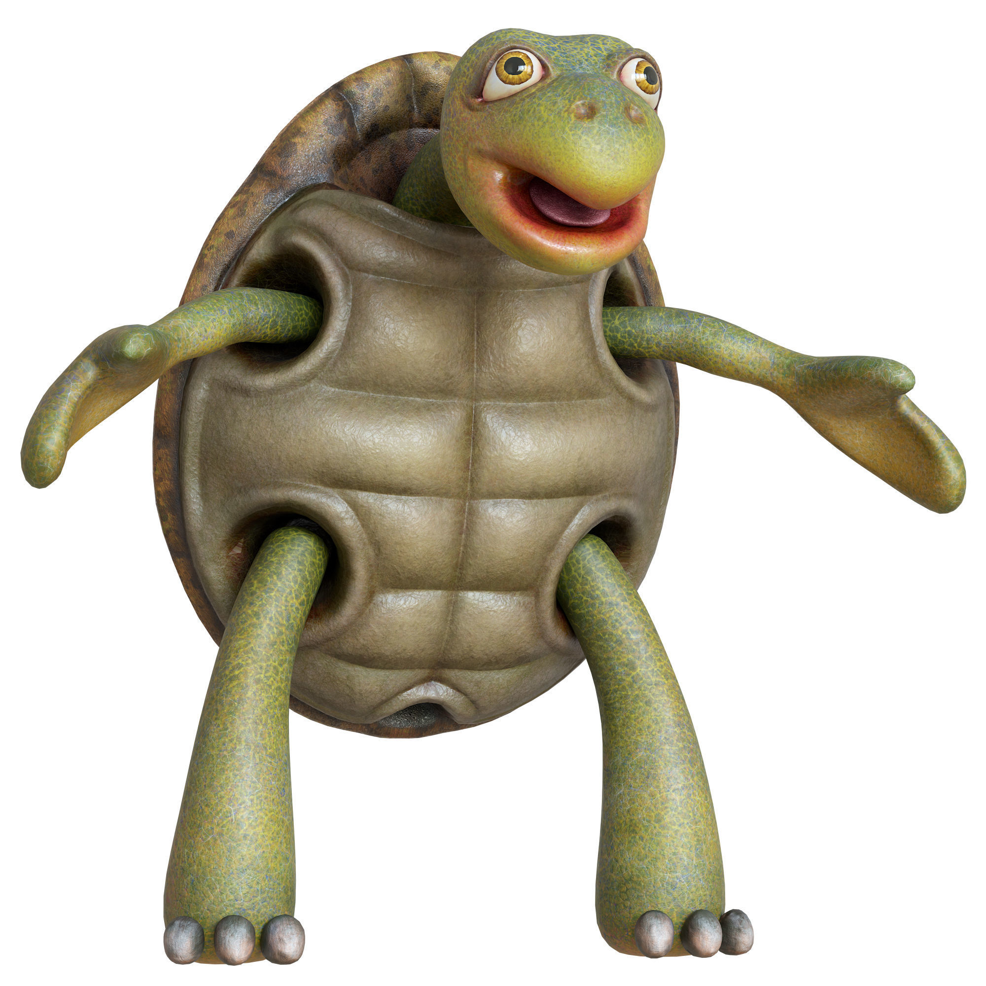 Cartoon Turtle Low-poly 3D model_27
