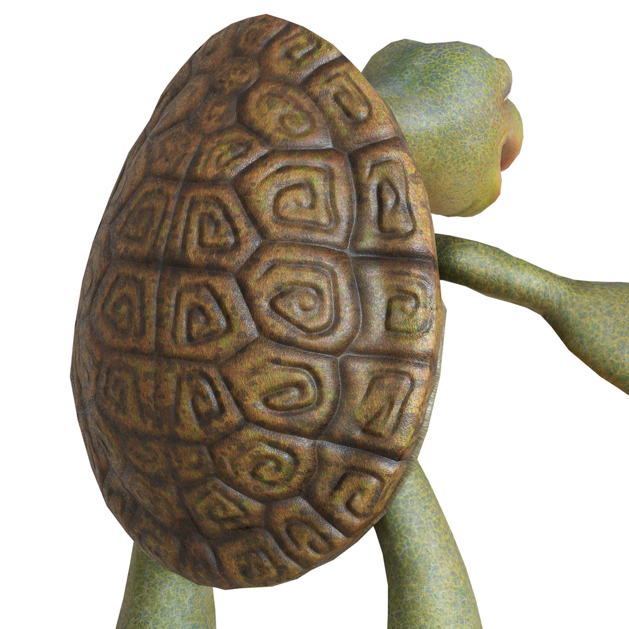 Cartoon Turtle Low-poly 3D model_24