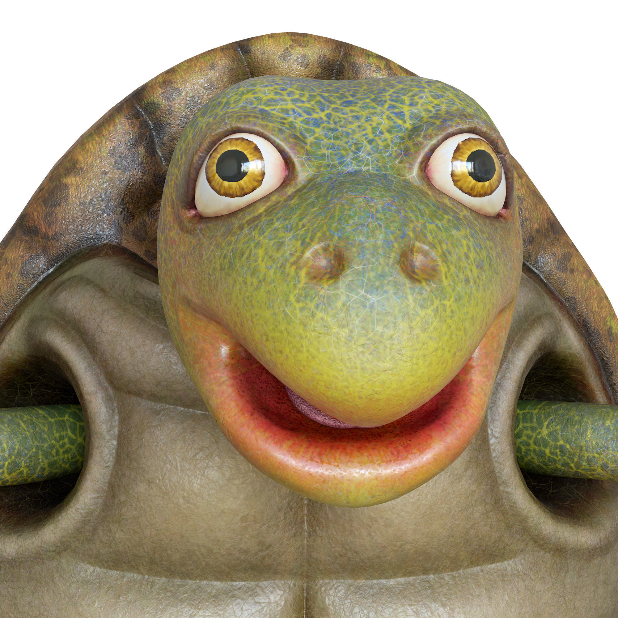 Cartoon Turtle Low-poly 3D model_3