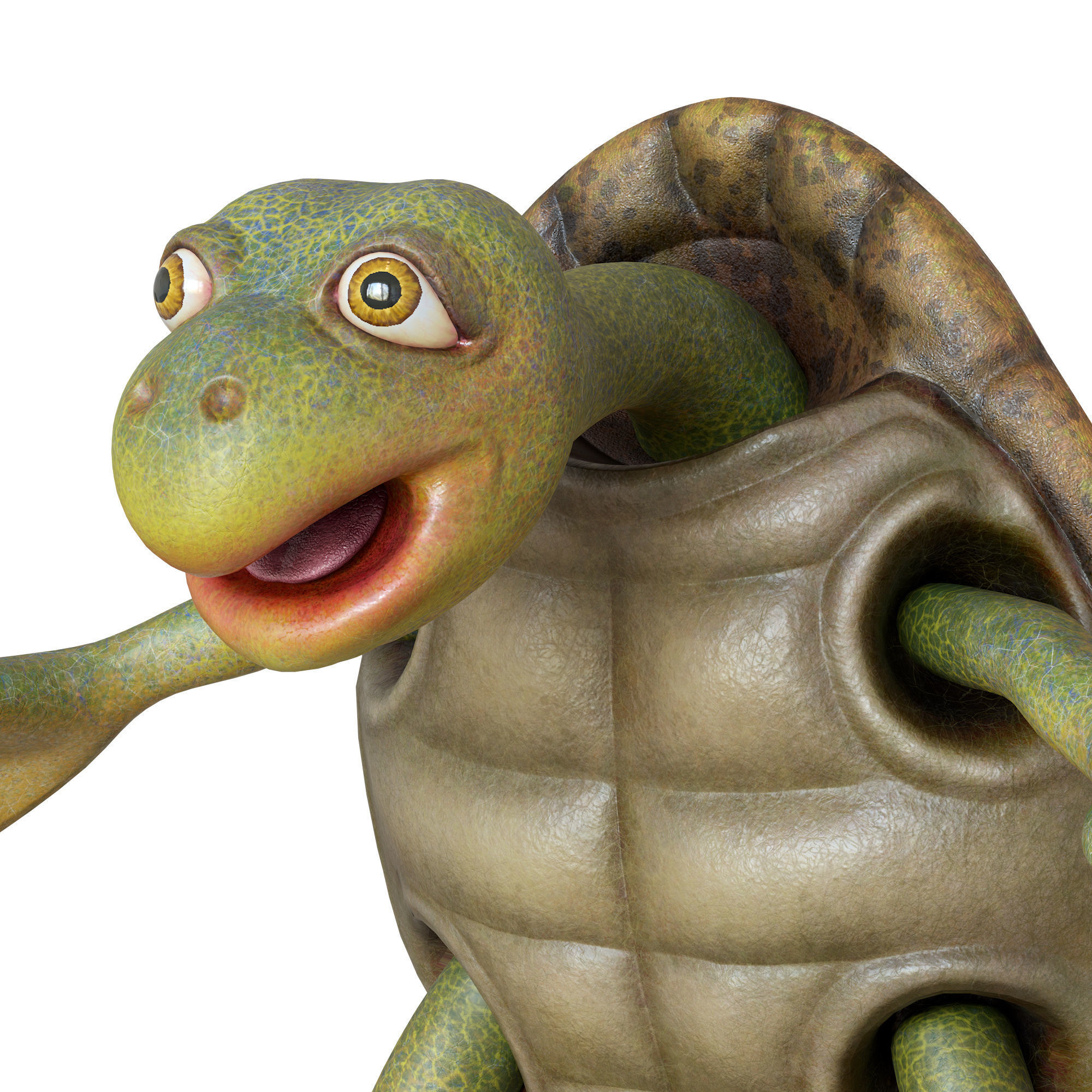 Cartoon Turtle Low-poly 3D model_8