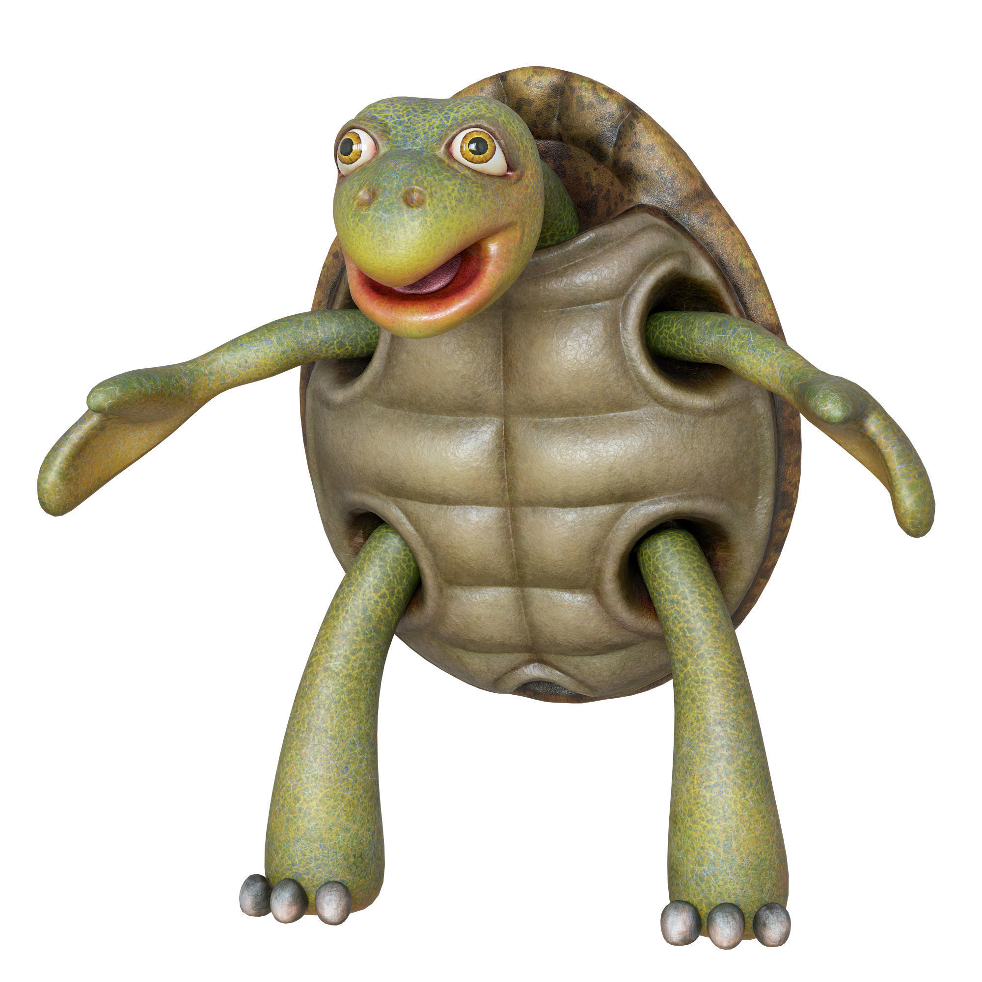 Cartoon Turtle Low-poly 3D model_5