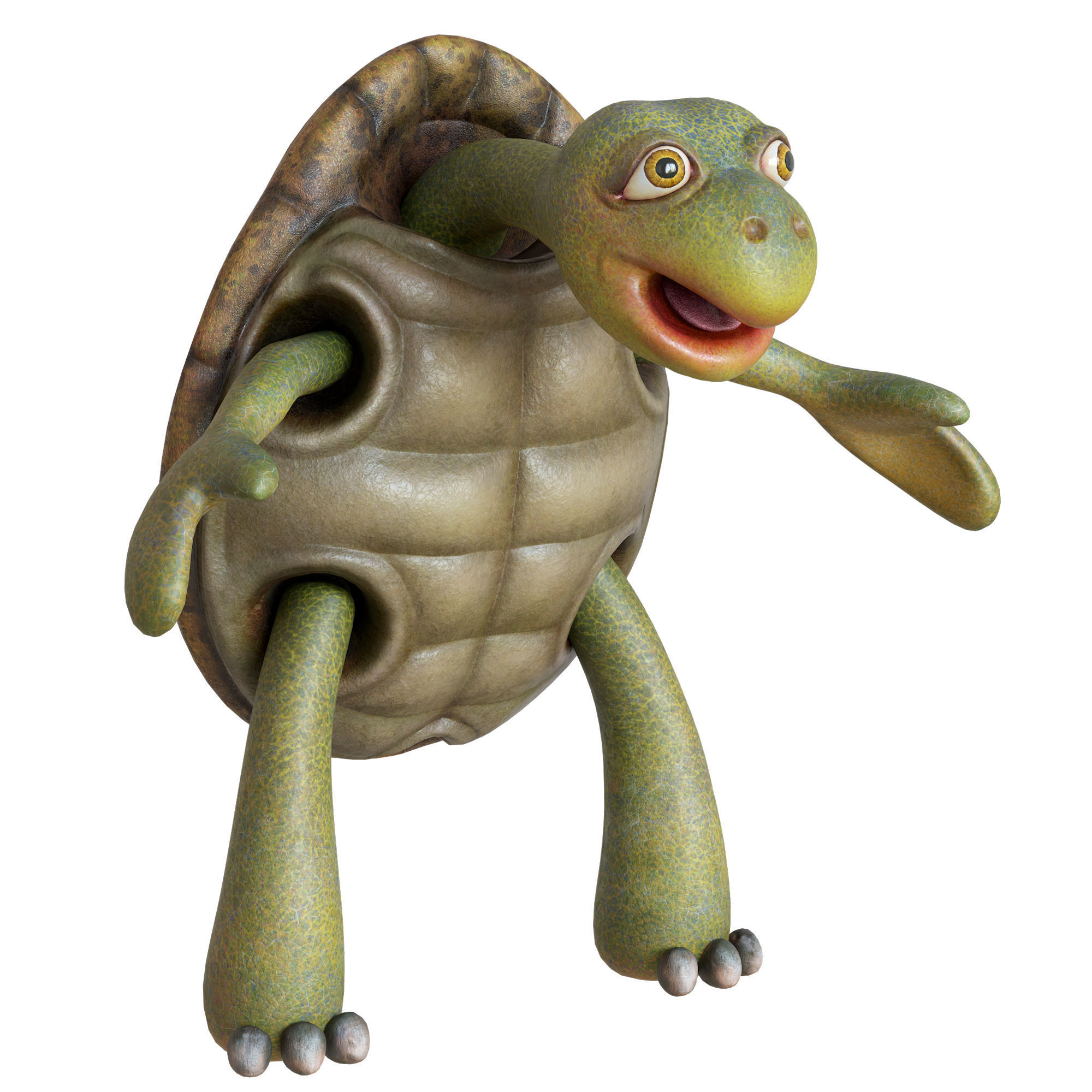 Cartoon Turtle Low-poly 3D model_22