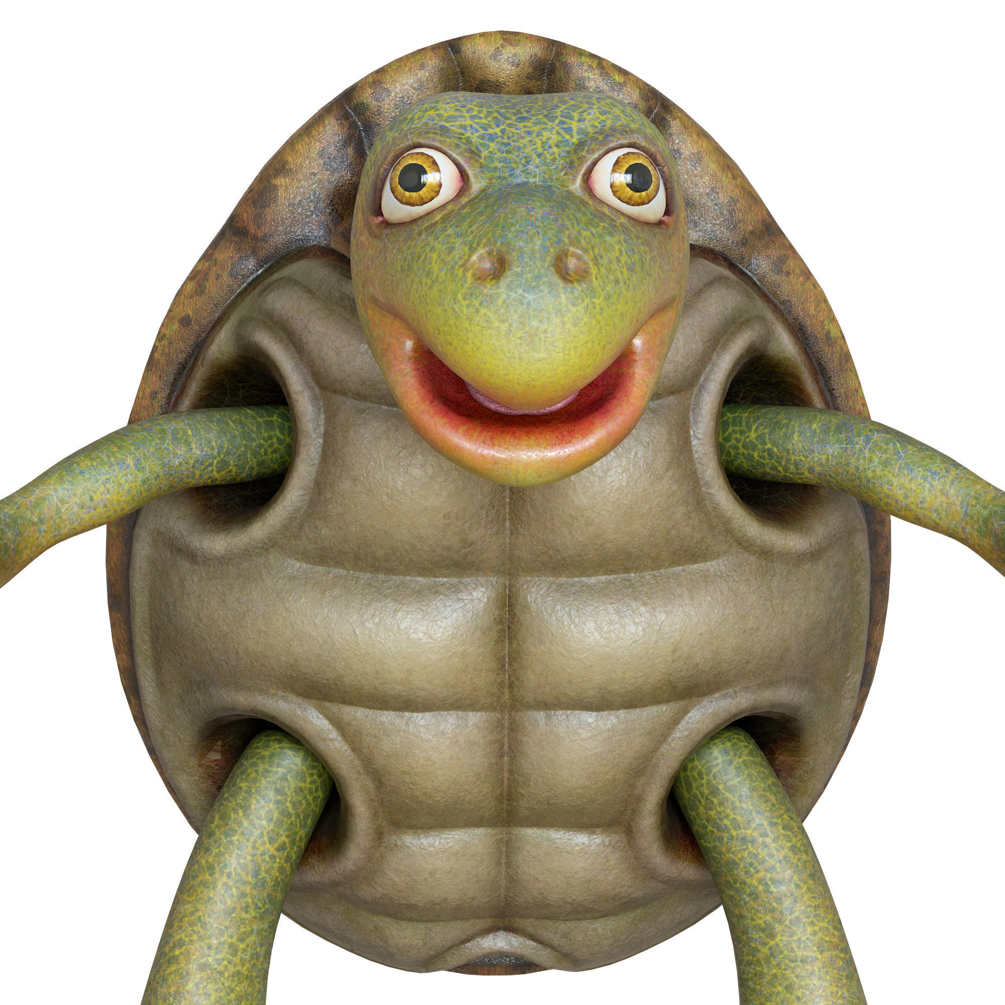 Cartoon Turtle Low-poly 3D model_7