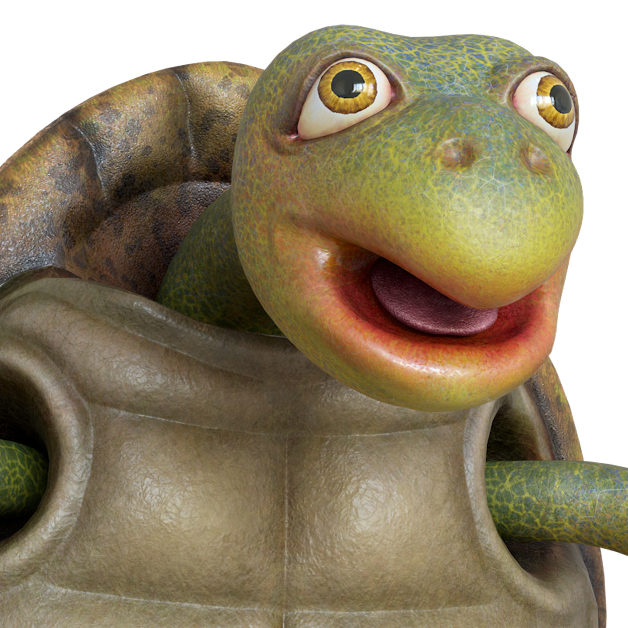 Cartoon Turtle Low-poly 3D model_23