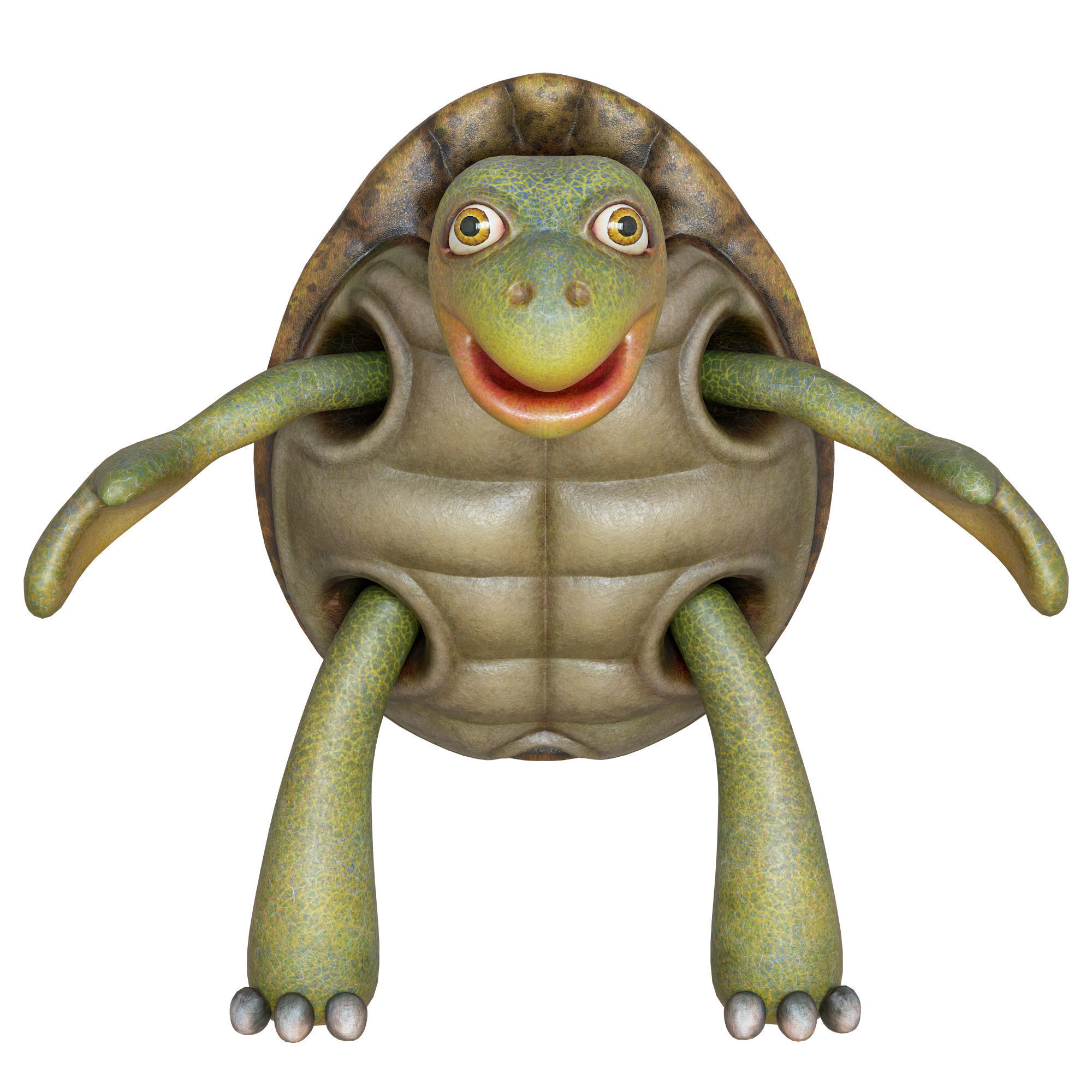 Cartoon Turtle Low-poly 3D model_29