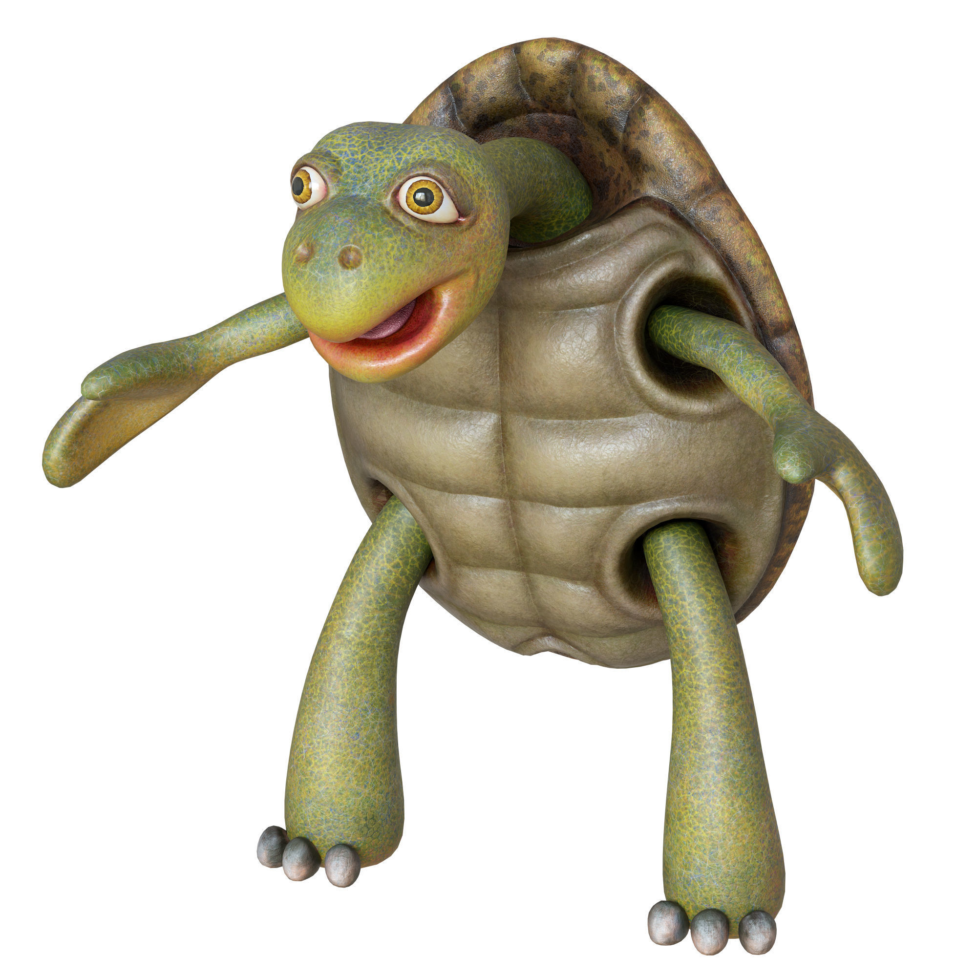 Cartoon Turtle Low-poly 3D model_14