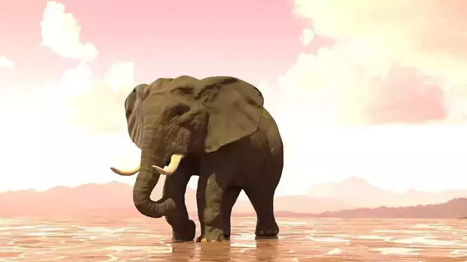Elephant with tusks 3D model