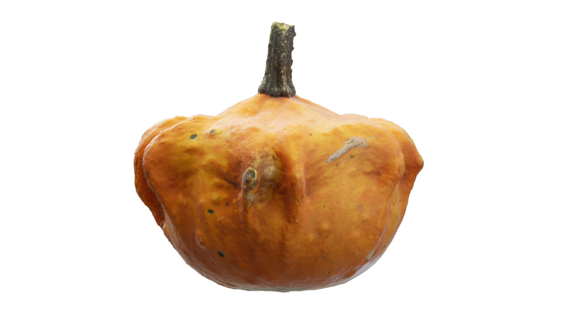 Pumkin Scan Low-poly 3D model_9