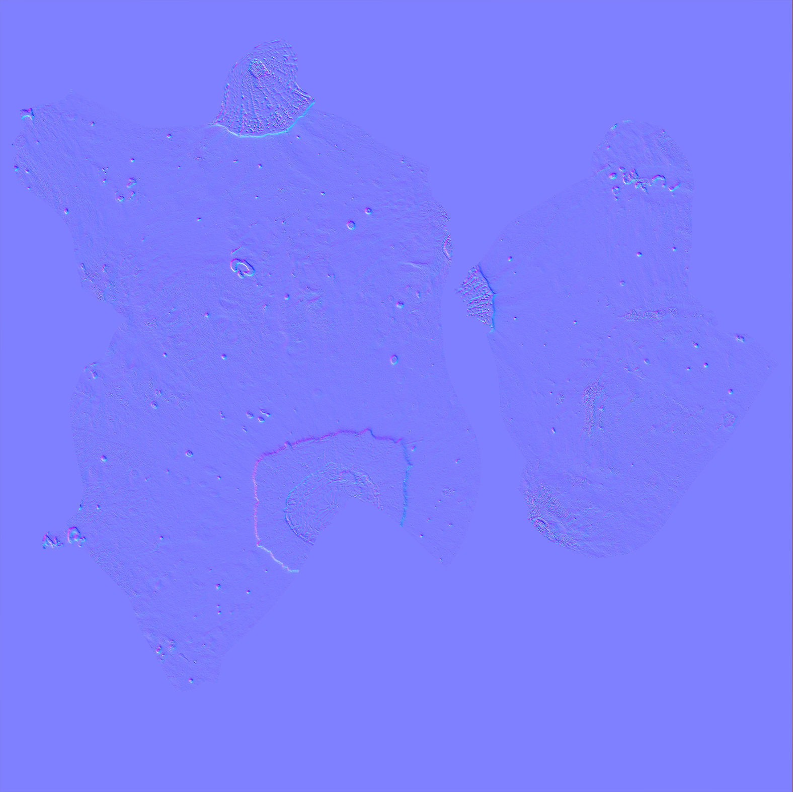 Pumkin Scan Low-poly 3D model_20