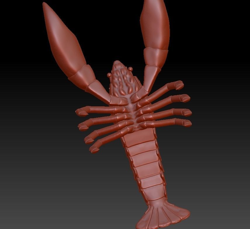 Simulation of crayfish sculpture download crayfish model 3D  3D print model_2