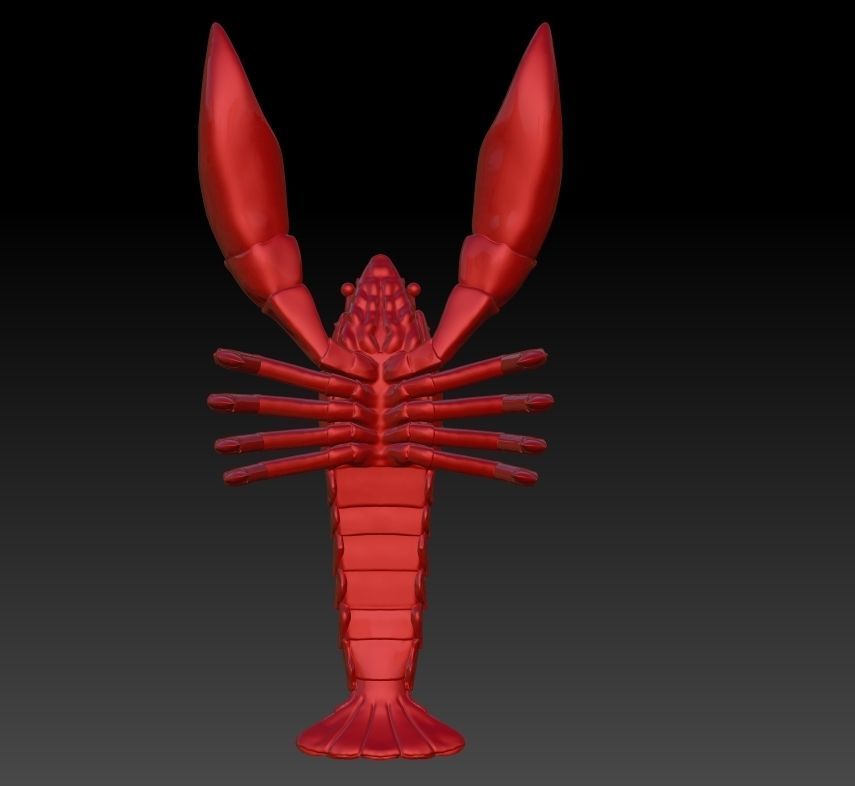 Simulation of crayfish sculpture download crayfish model 3D  3D print model_1