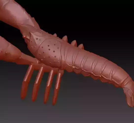 Simulation of crayfish sculpture download crayfish model 3D 