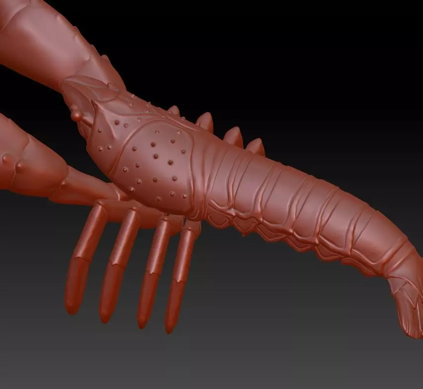 Simulation of crayfish sculpture download crayfish model 3D  3D print model_0