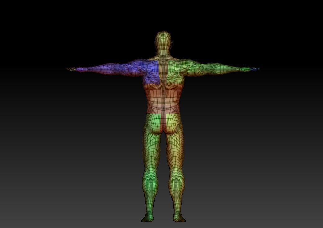 3D man body model download man body basic model download 3D model 3D ...