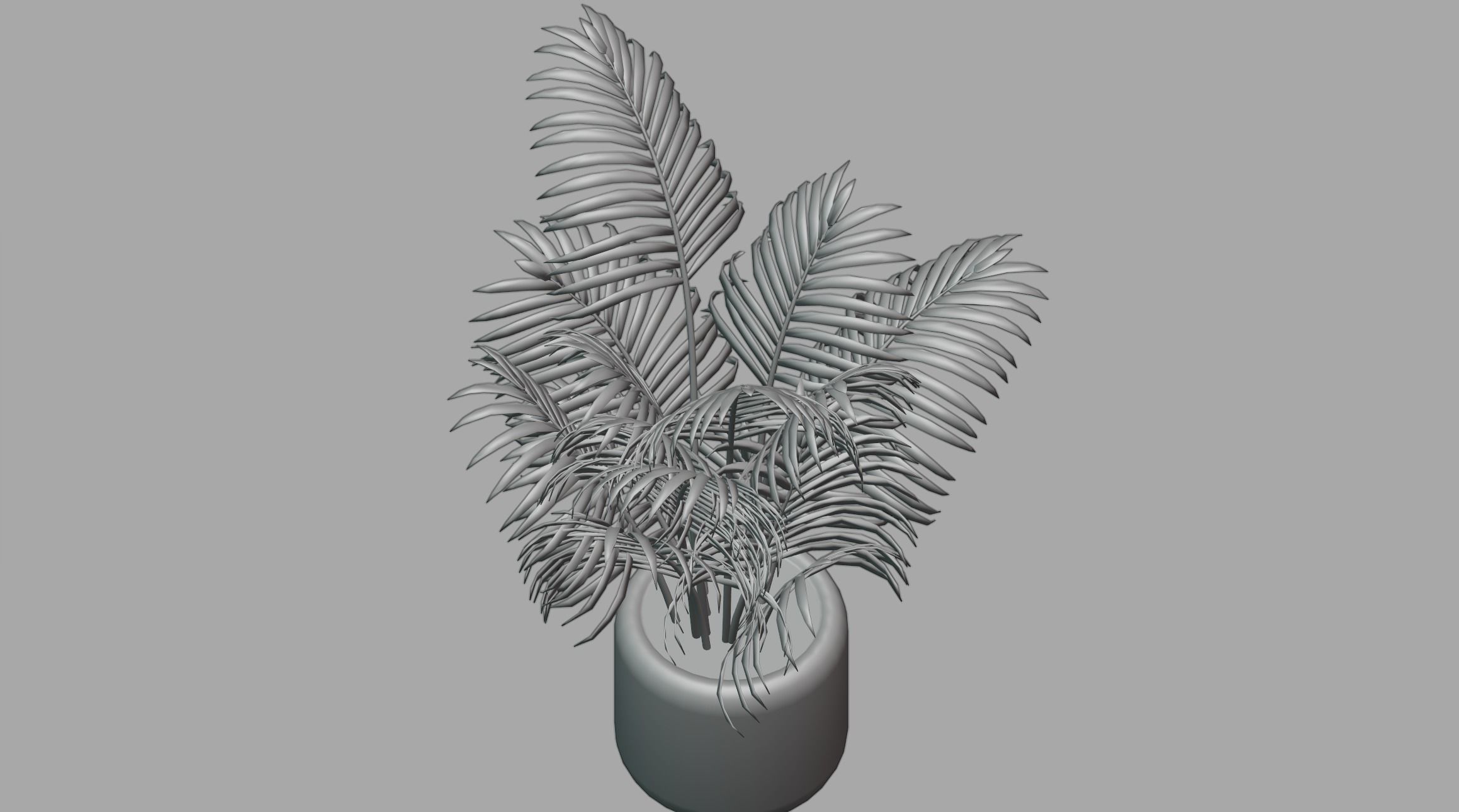 Areca palm plant 3D model_3