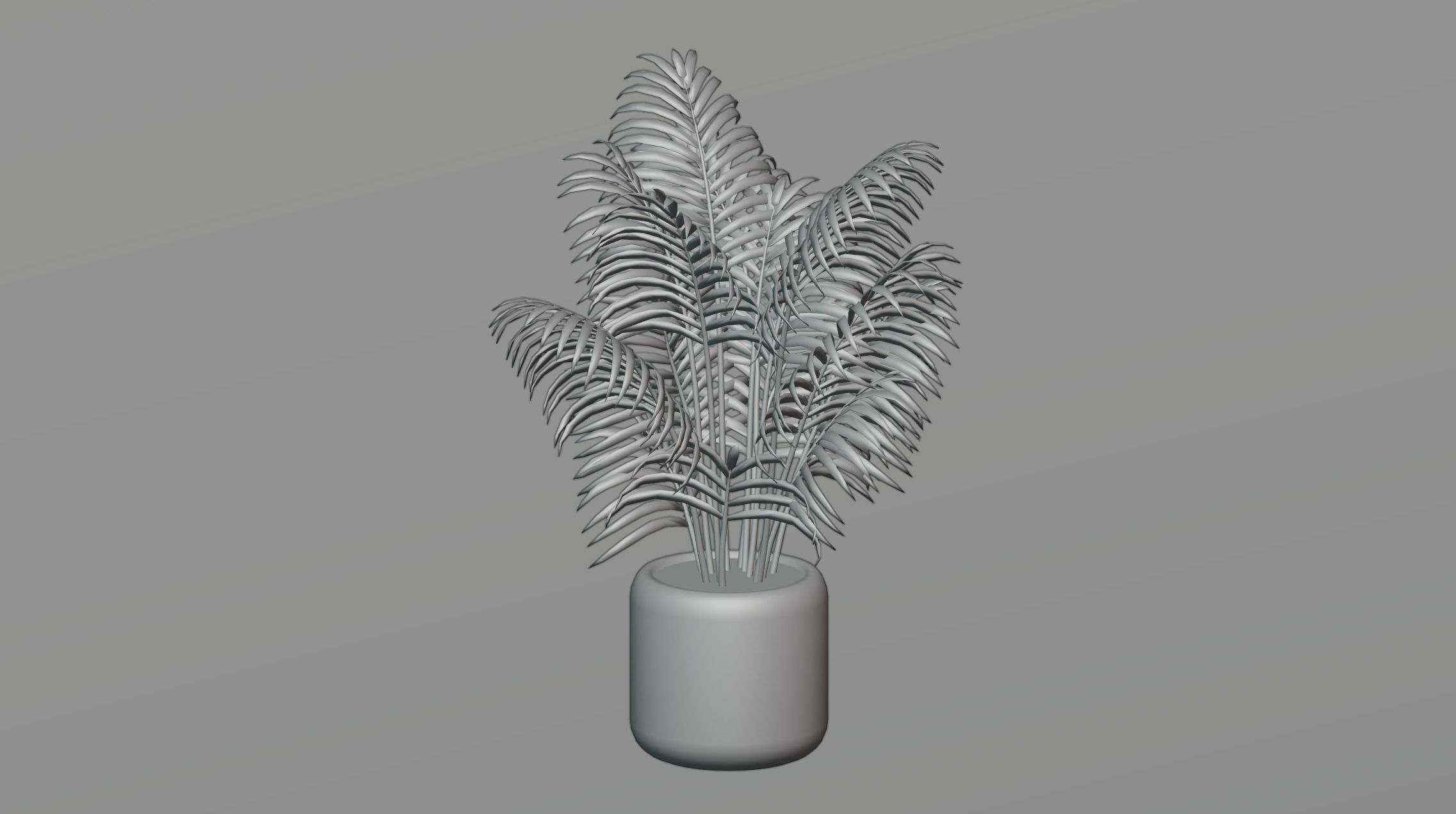Areca palm plant 3D model_5