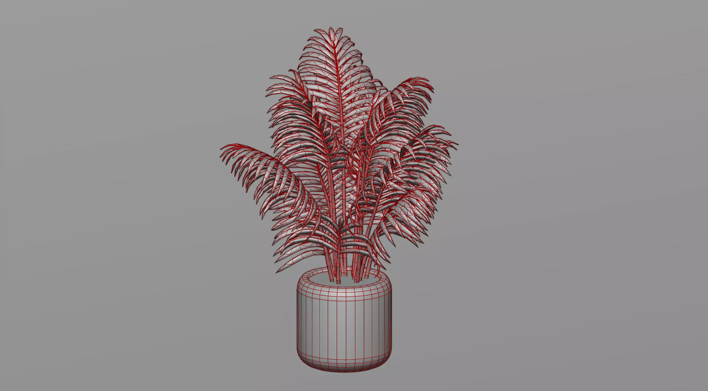 Areca palm plant 3D model_0
