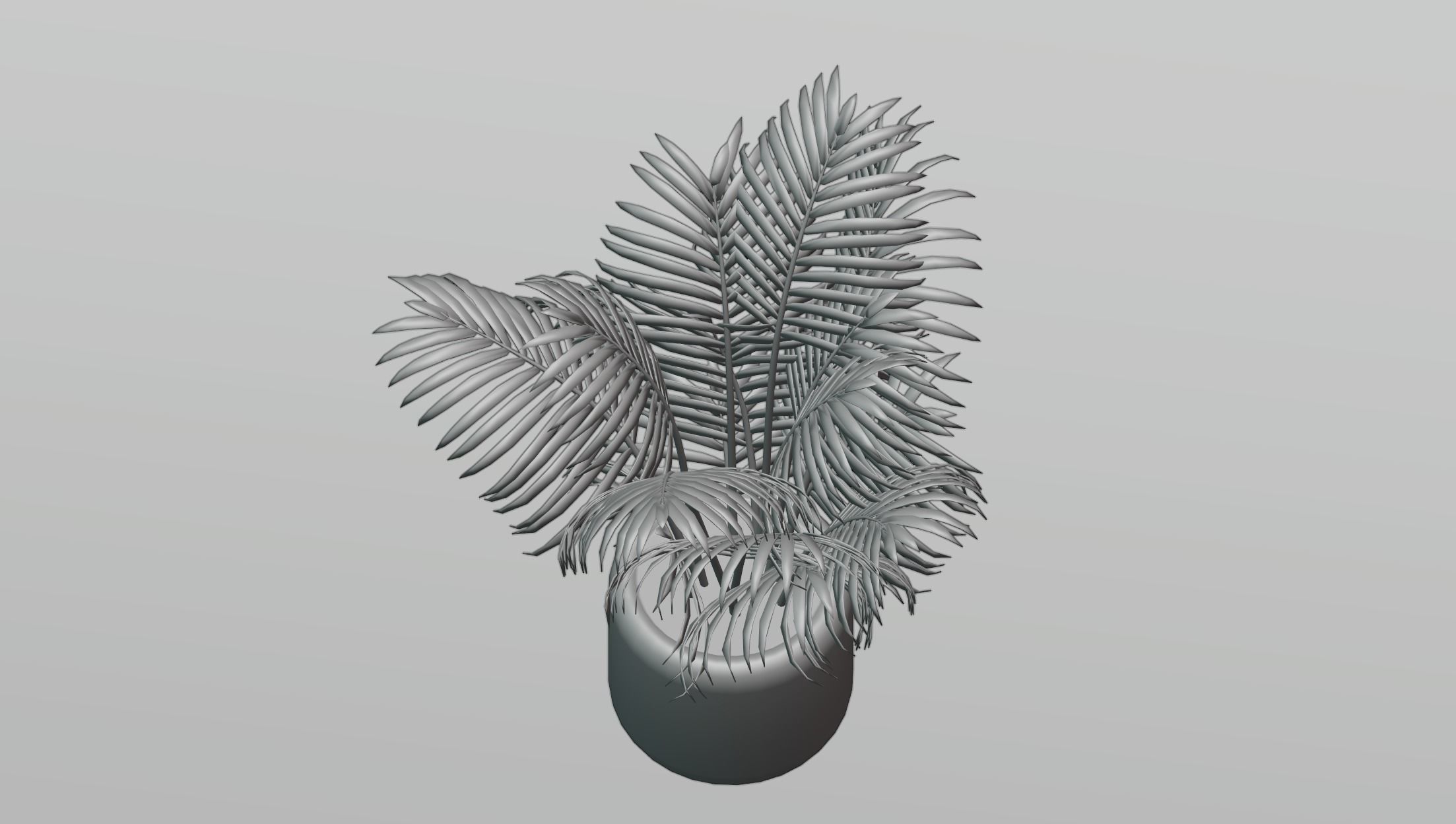 Areca palm plant 3D model_2